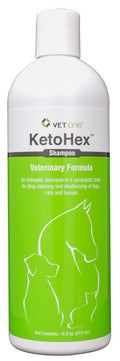 16 oz Anti Bacterial Cat & Dog Flea And Tick Shampoo L25766