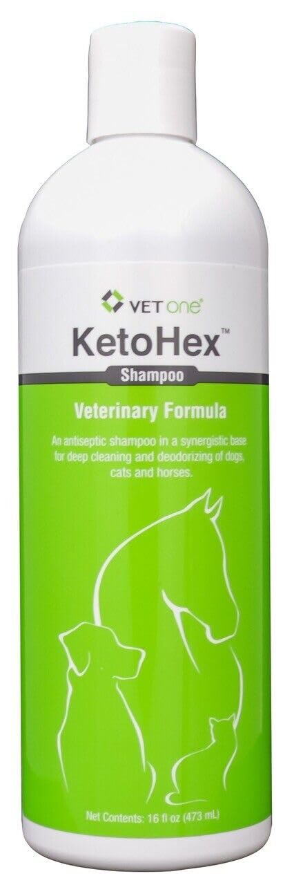 16 oz Anti Bacterial Cat & Dog Flea And Tick Shampoo L25766