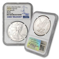 1 oz American Silver Eagle Coin Q41905