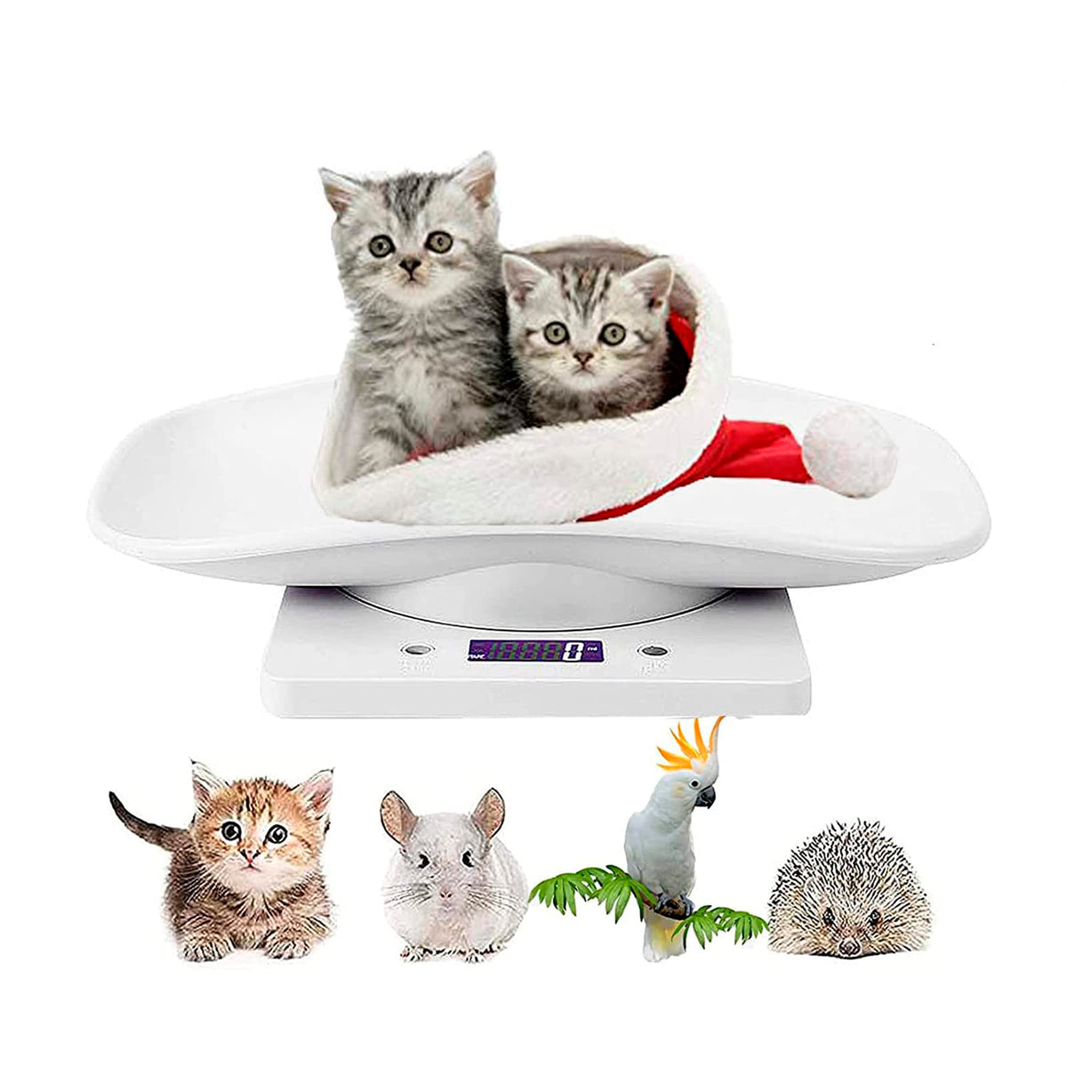Newborn Kitten & Puppy Weight Scale White 12in x 8in U55538