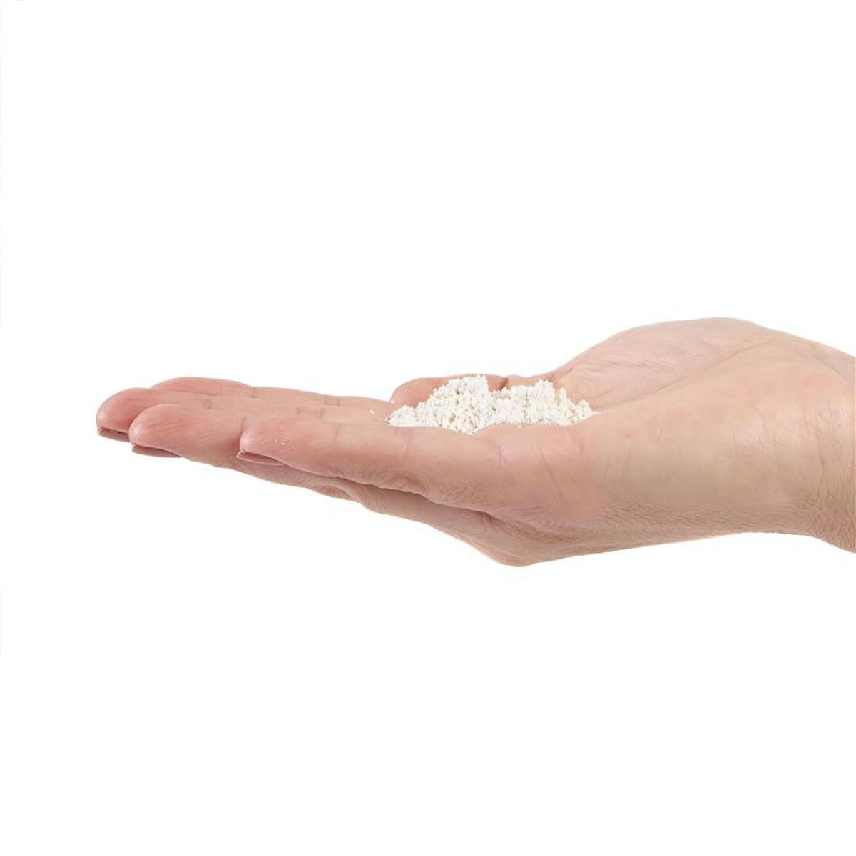 Milky Spore Granular Grub Control W276