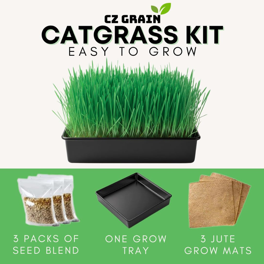 Cat Grass Growing Kit with Organic Seed and Jute Grow Mats U204087