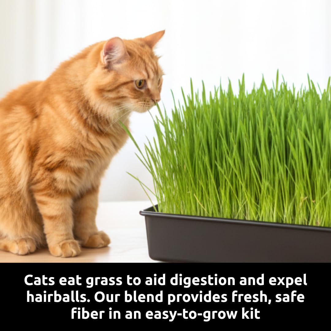 Cat Grass Growing Kit with Organic Seed and Jute Grow Mats U204087