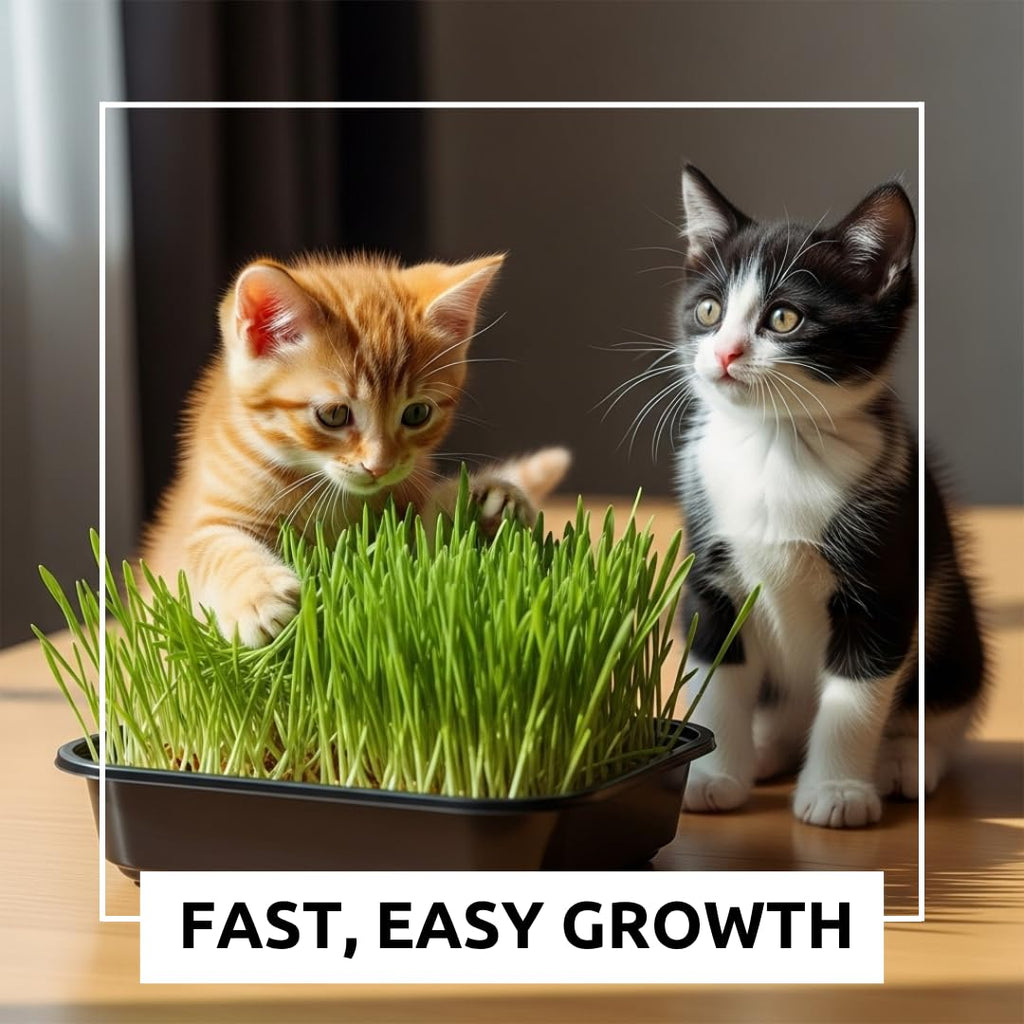 Cat Grass Growing Kit with Organic Seed and Jute Grow Mats U204087