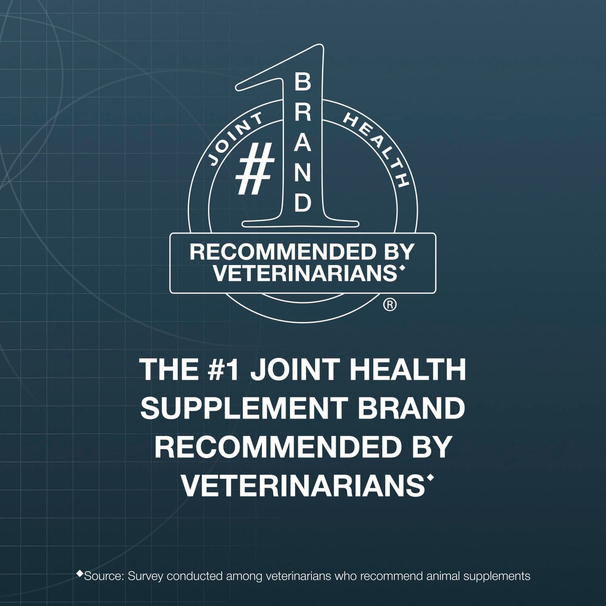 Chewable Tablets Joint Supplement for Large Dogs F49319