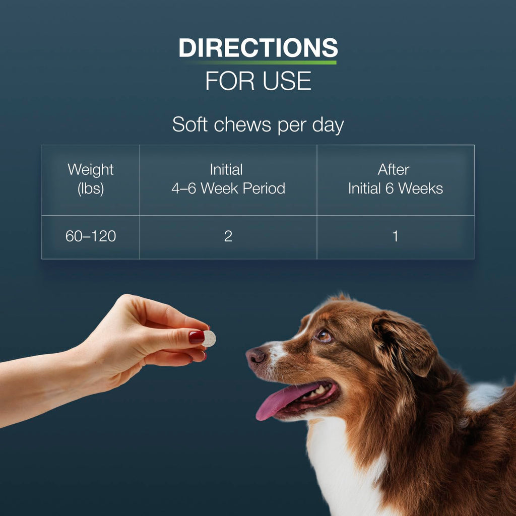 Chewable Tablets Joint Supplement for Large Dogs F49319