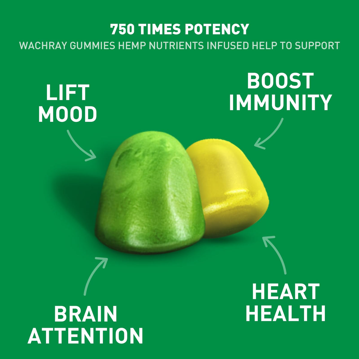 Organic Hemp Gummies 240 Count A83346
