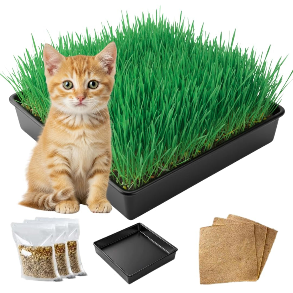 Cat Grass Growing Kit with Organic Seed and Jute Grow Mats U204087