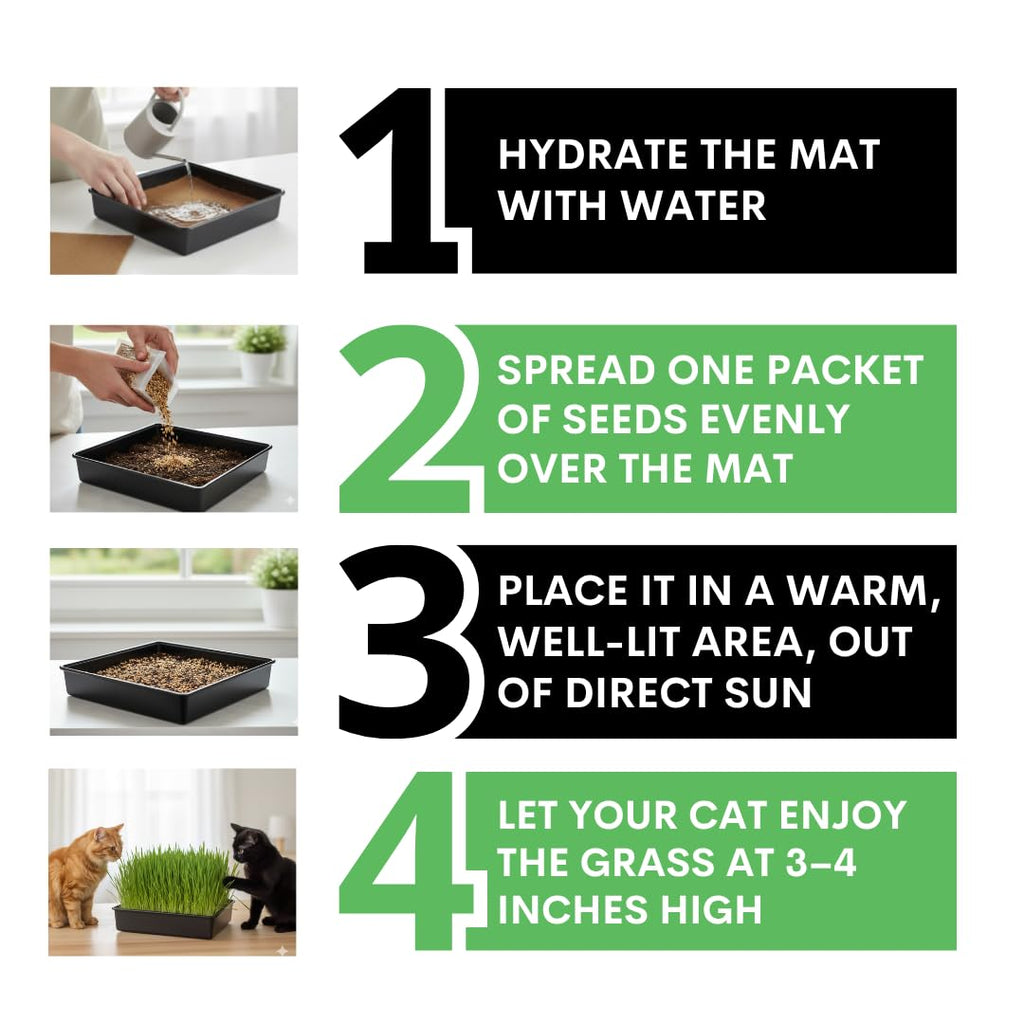 Cat Grass Growing Kit with Organic Seed and Jute Grow Mats U204087