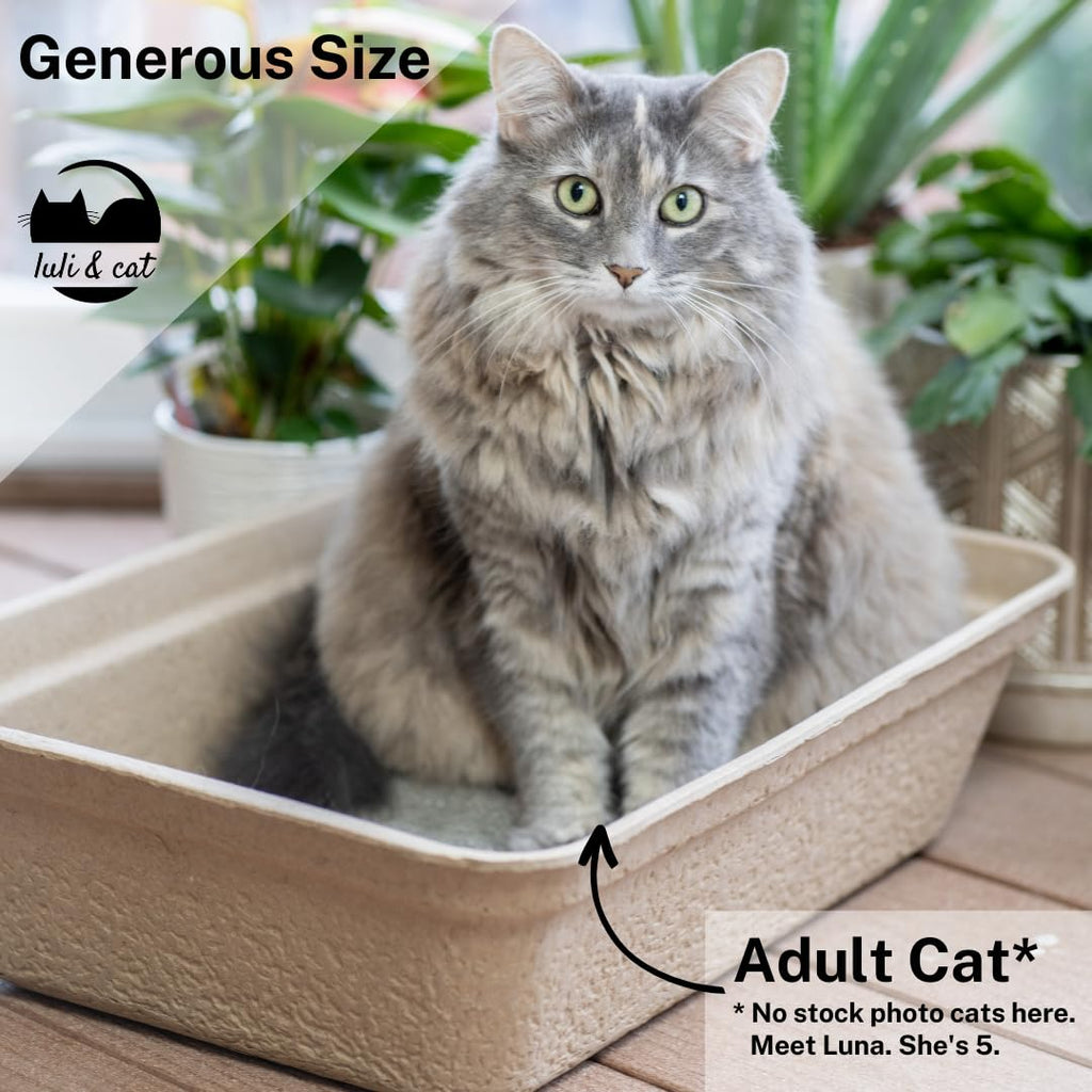 Disposable Litter Boxes 4-Pack N520