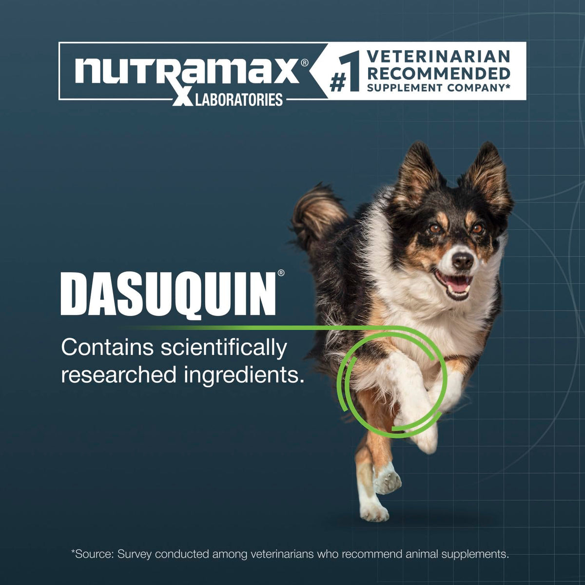 Chewable Tablets Joint Supplement for Large Dogs F49319