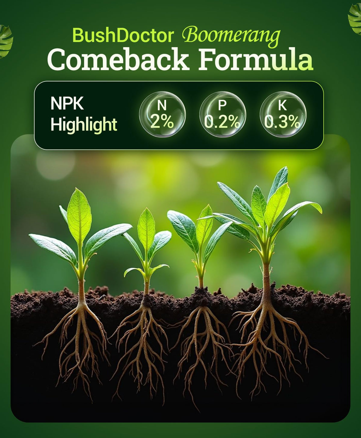 Liquid Plant Fertilizer 1 Pint C705