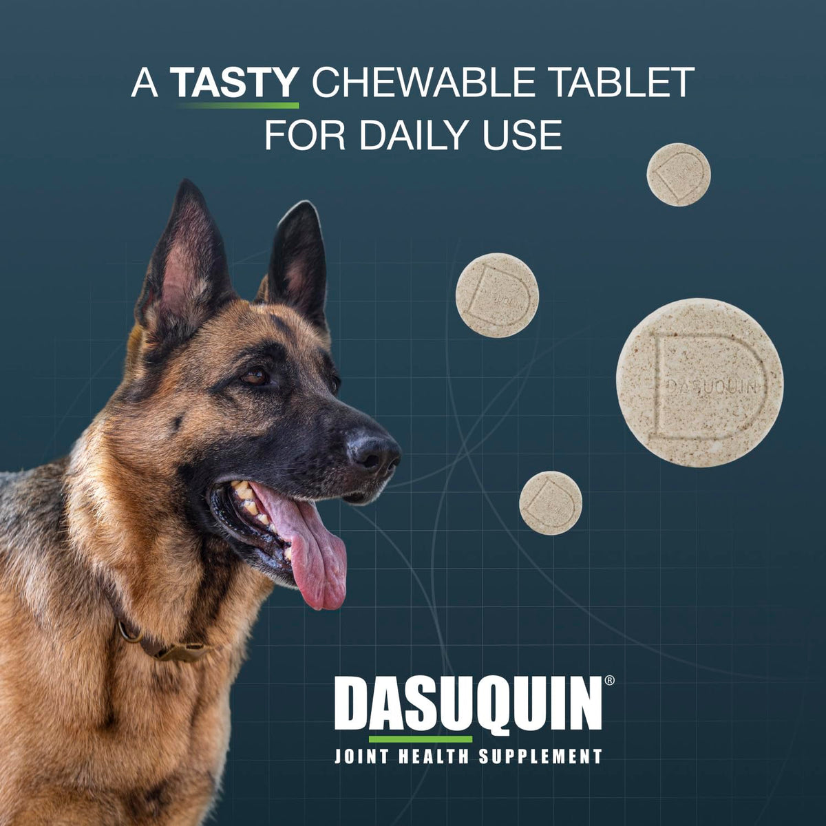 Chewable Tablets Joint Supplement for Large Dogs F49319