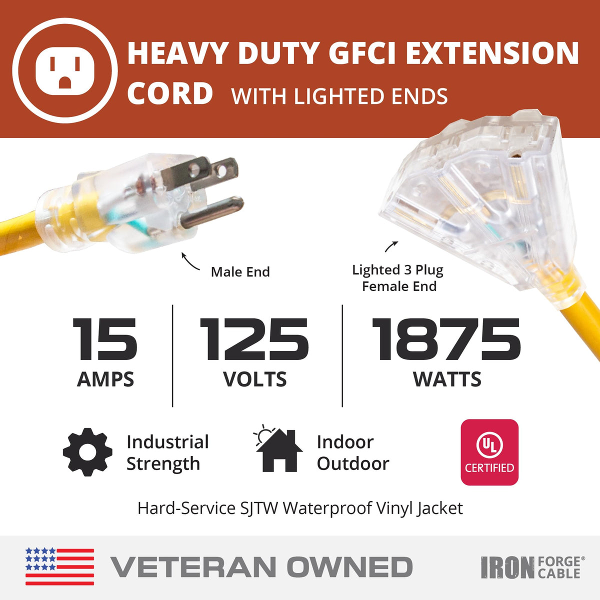 50 Foot Lighted Outdoor Extension Cord with 3 Outlets I219927