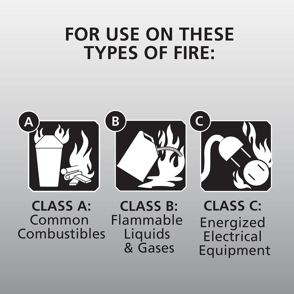 White 3.9 Lbs. Fire Extinguisher with Wall Mount E20750