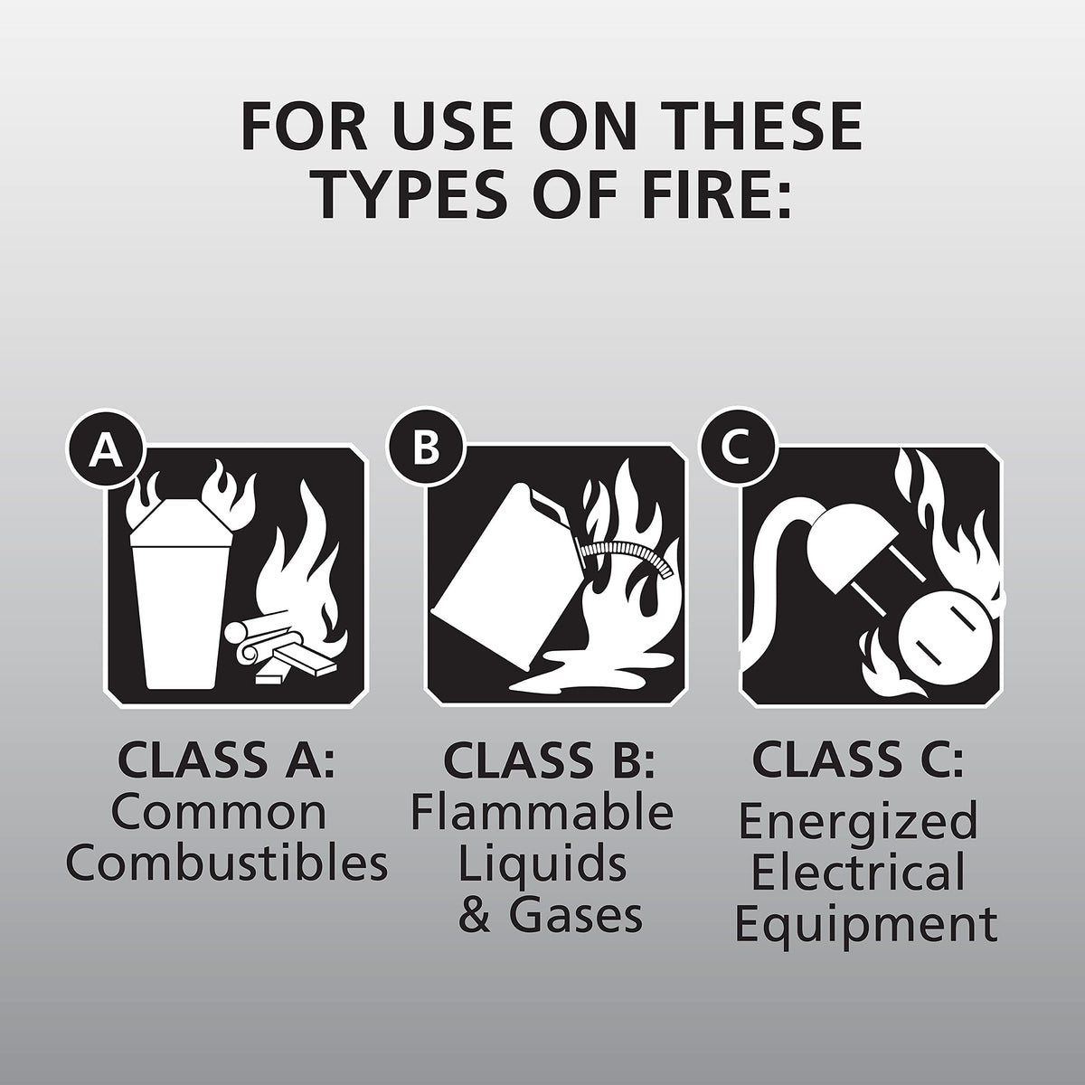 White 3.9 Lbs. Fire Extinguisher with Wall Mount E20750