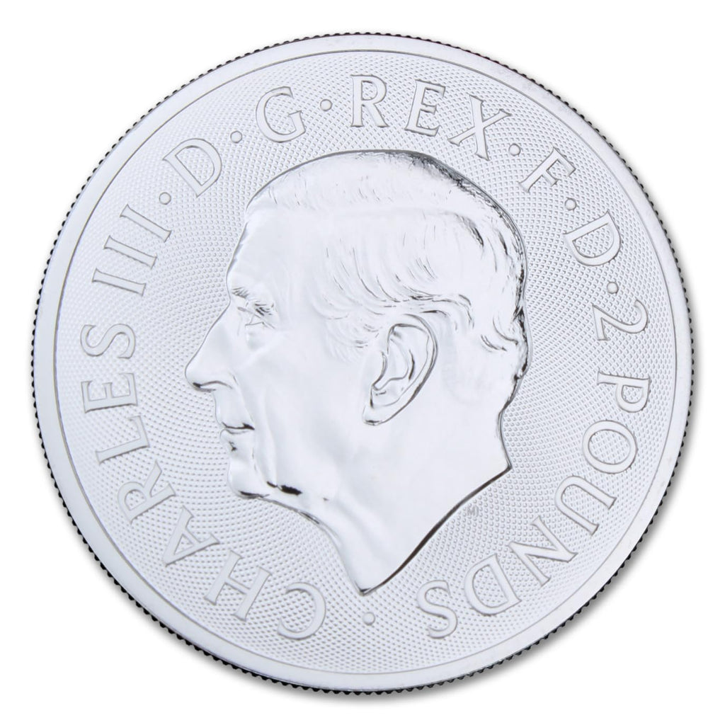 1 oz Silver Coin C8508