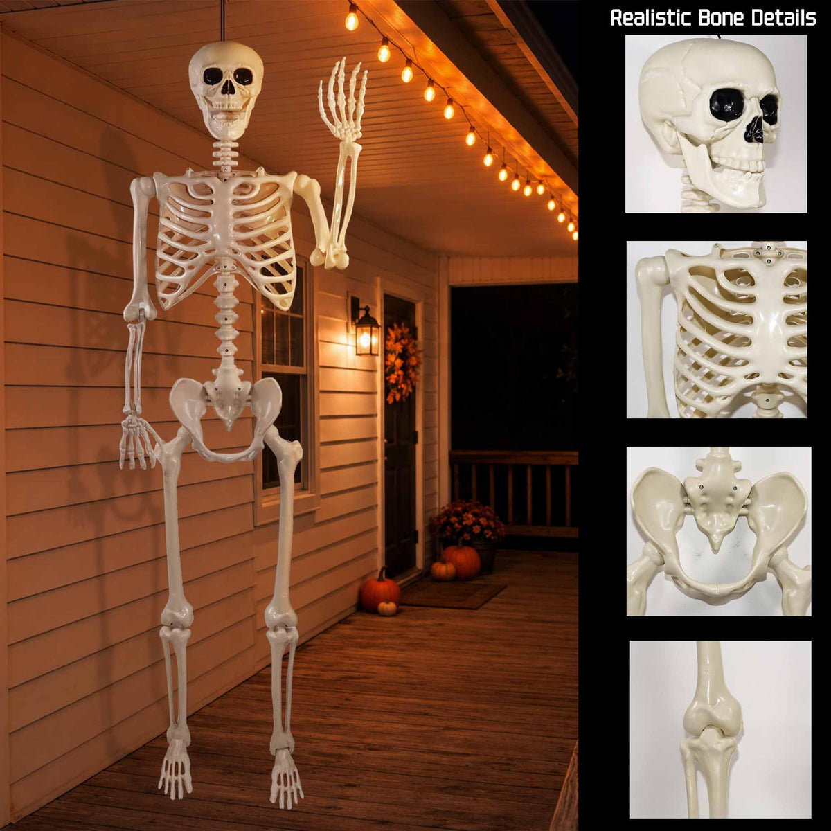 5.4ft Posable Life Size Skeleton with Movable Joints D589