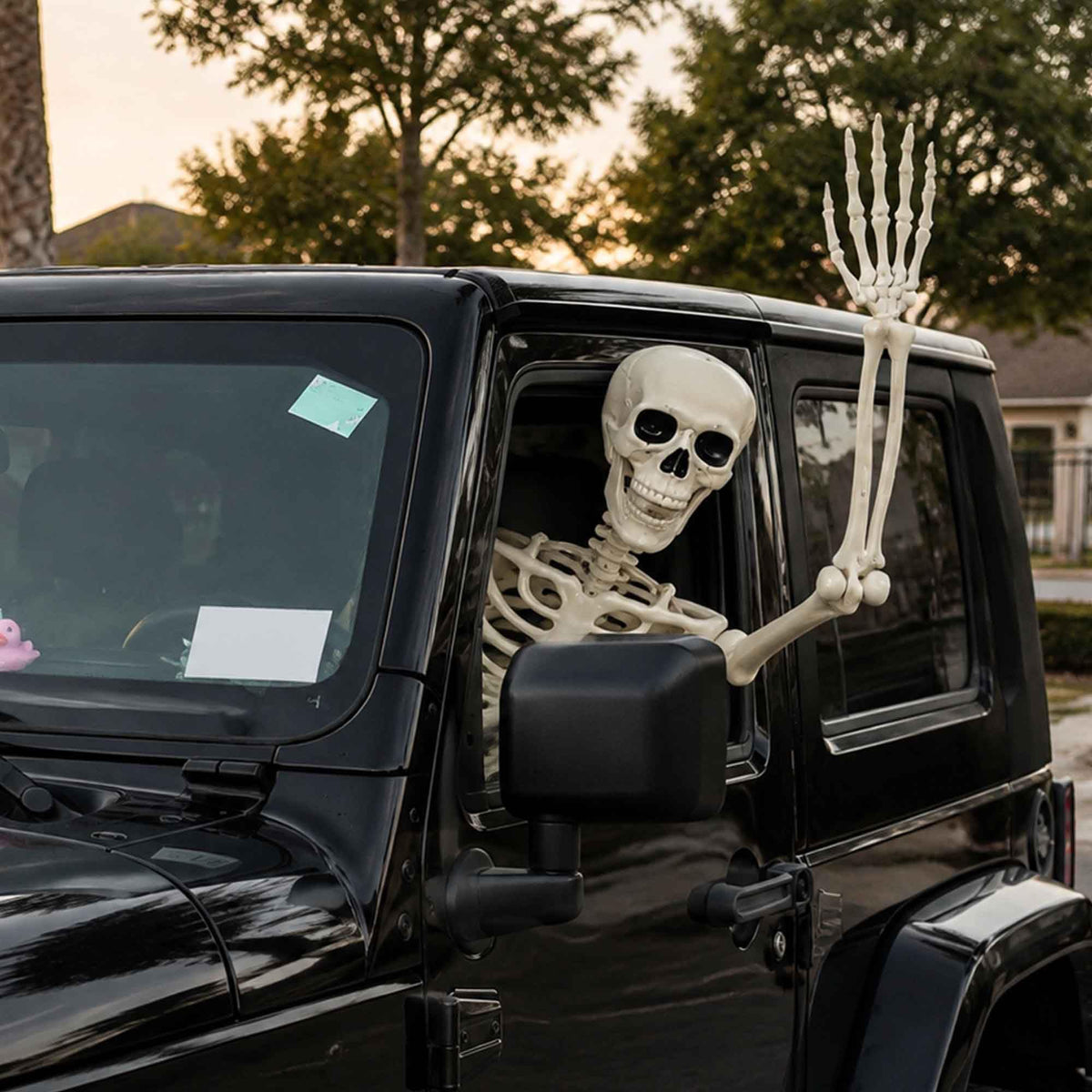 5.4ft Posable Life Size Skeleton with Movable Joints D589