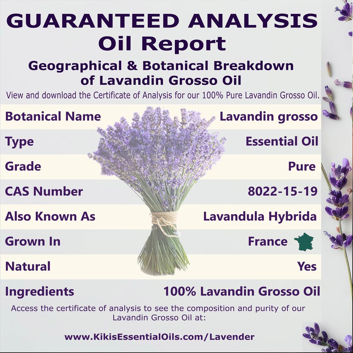 Lavender Essential Oil with Glass Dropper 4 Fl Oz W594487