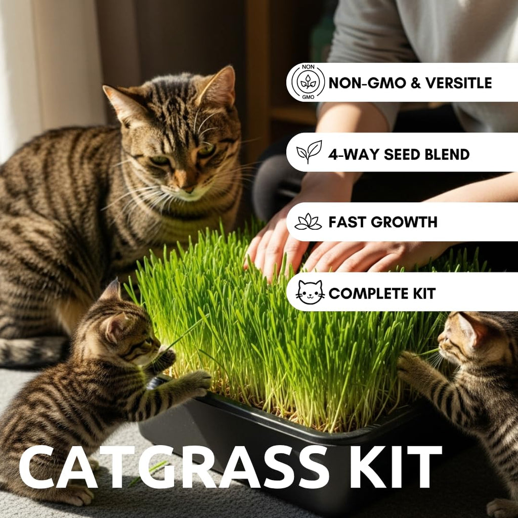 Cat Grass Growing Kit with Organic Seed and Jute Grow Mats U204087
