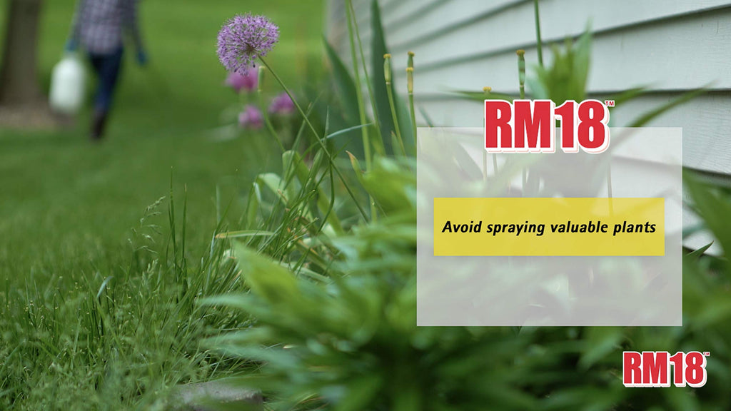 Fast-Acting Weed & Grass Killer Herbicide Spray 1-gallon D70848