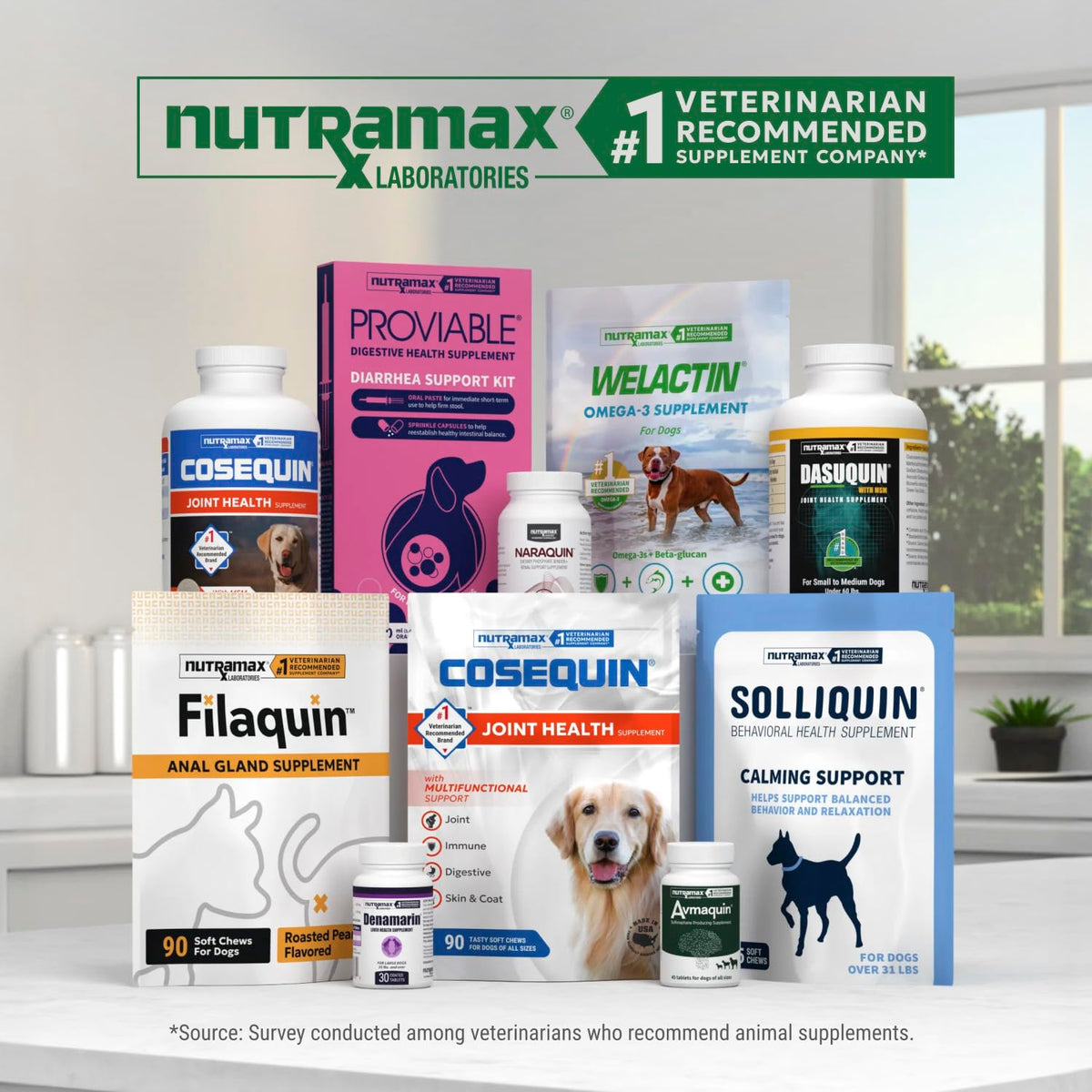 Chewable Tablets Joint Supplement for Large Dogs F49319