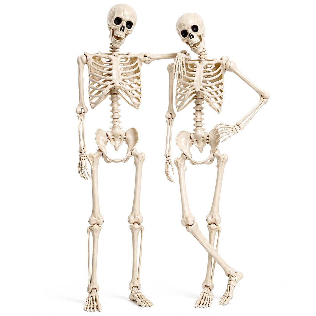 2 Pack 5.4ft Life Size Skeleton with Movable Joints M1610