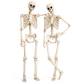 2 Pack 5.4ft Life Size Skeleton with Movable Joints M1610