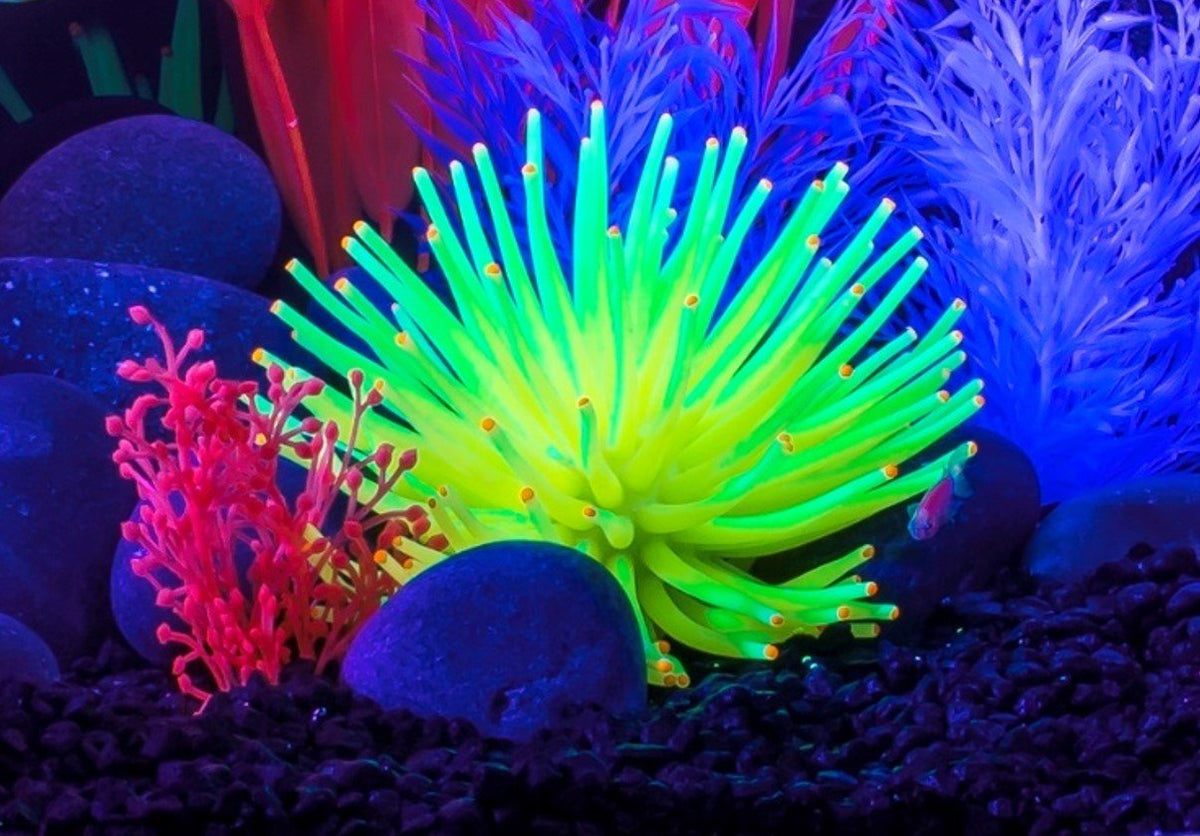 Yellow Anemone Aquarium Ornament S677