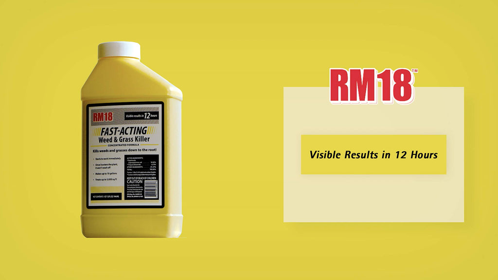 Fast-Acting Weed & Grass Killer Herbicide Spray 1-gallon D70848