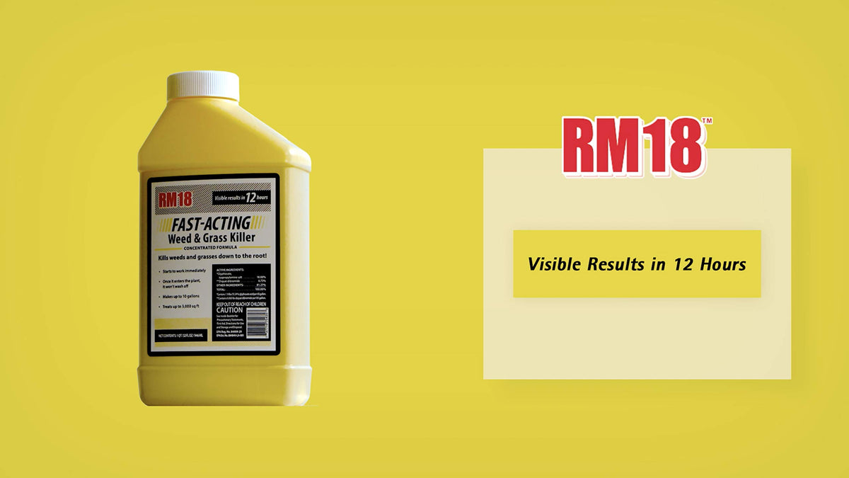 Fast-Acting Weed & Grass Killer Herbicide Spray 1-gallon D70848