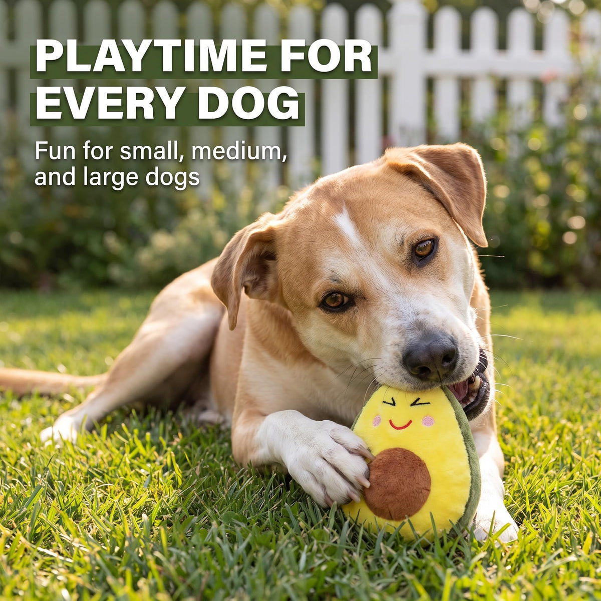 Squeaky Plush Avocado Dog Chew Toy M72219