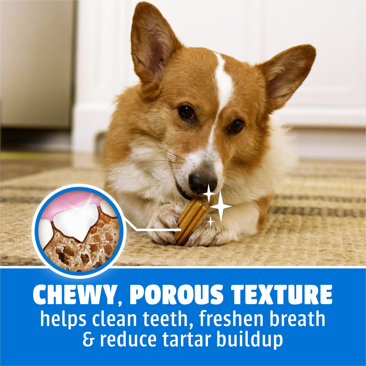 Daily Oral Care Dog Treats, Small/Medium, 60 ct O85915