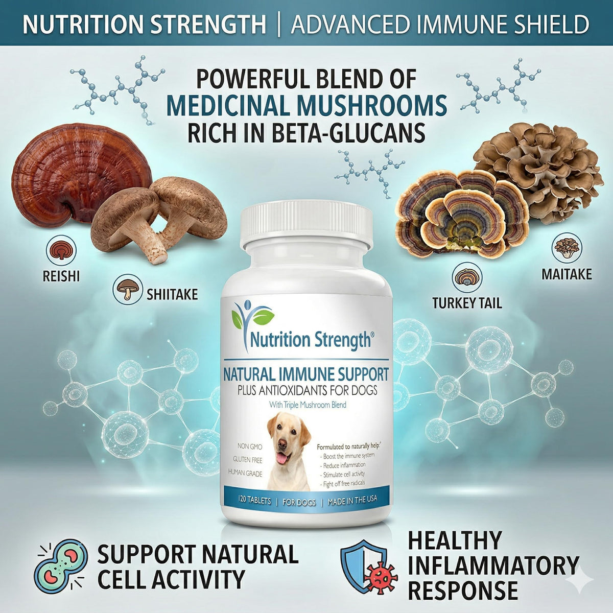 Immune Support for Dogs 120 Chewable Tablets B869