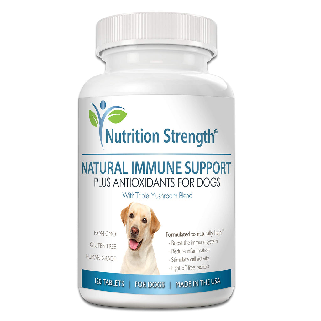 Immune Support for Dogs 120 Chewable Tablets B869
