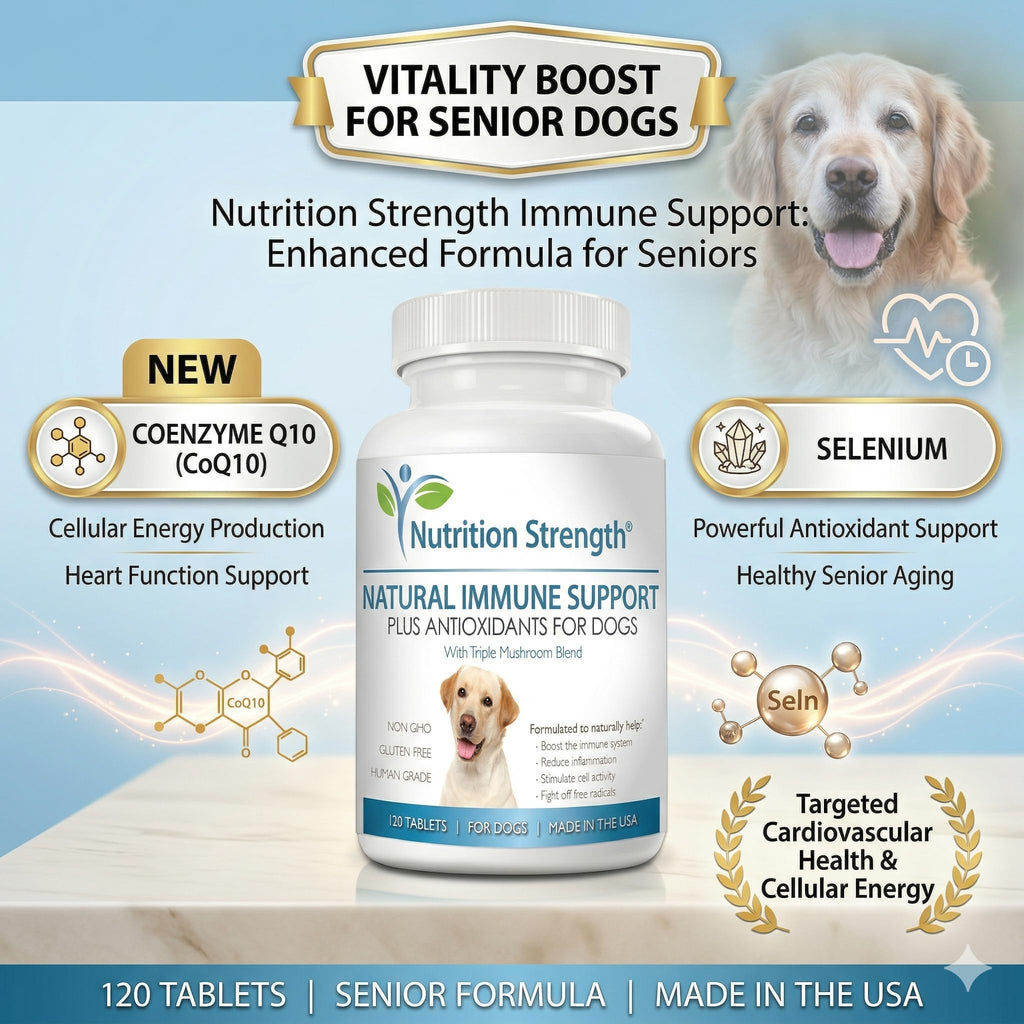 Immune Support for Dogs 120 Chewable Tablets B869