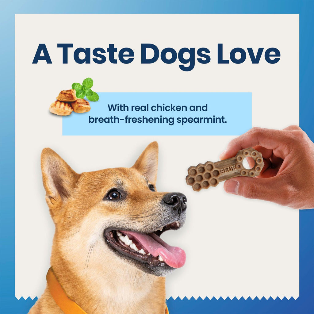 Chicken & Spearmint Medium Dental Chews, 11.5 oz, 14 ct K3157