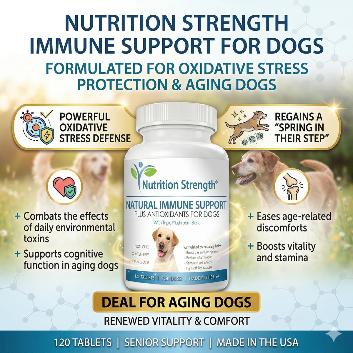 Immune Support for Dogs 120 Chewable Tablets B869
