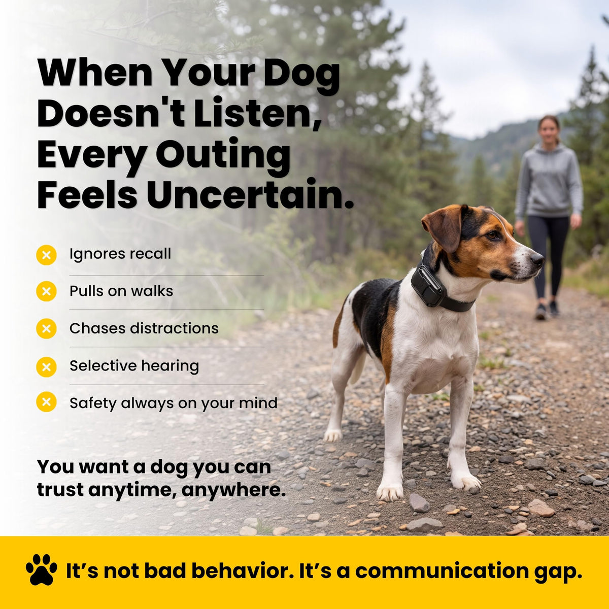 Waterproof Dog Training E Collar with Remote C64877