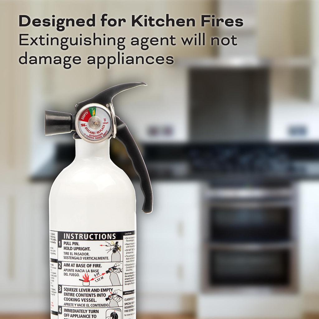 White 3.9 Lbs. Fire Extinguisher with Wall Mount E20750