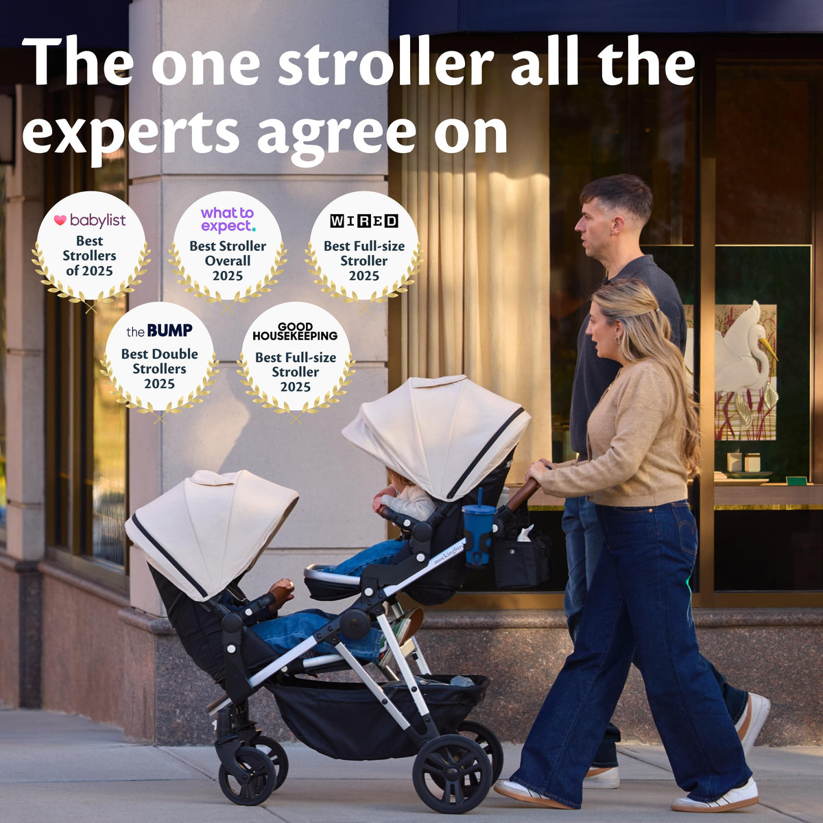 Convertible Stroller O944