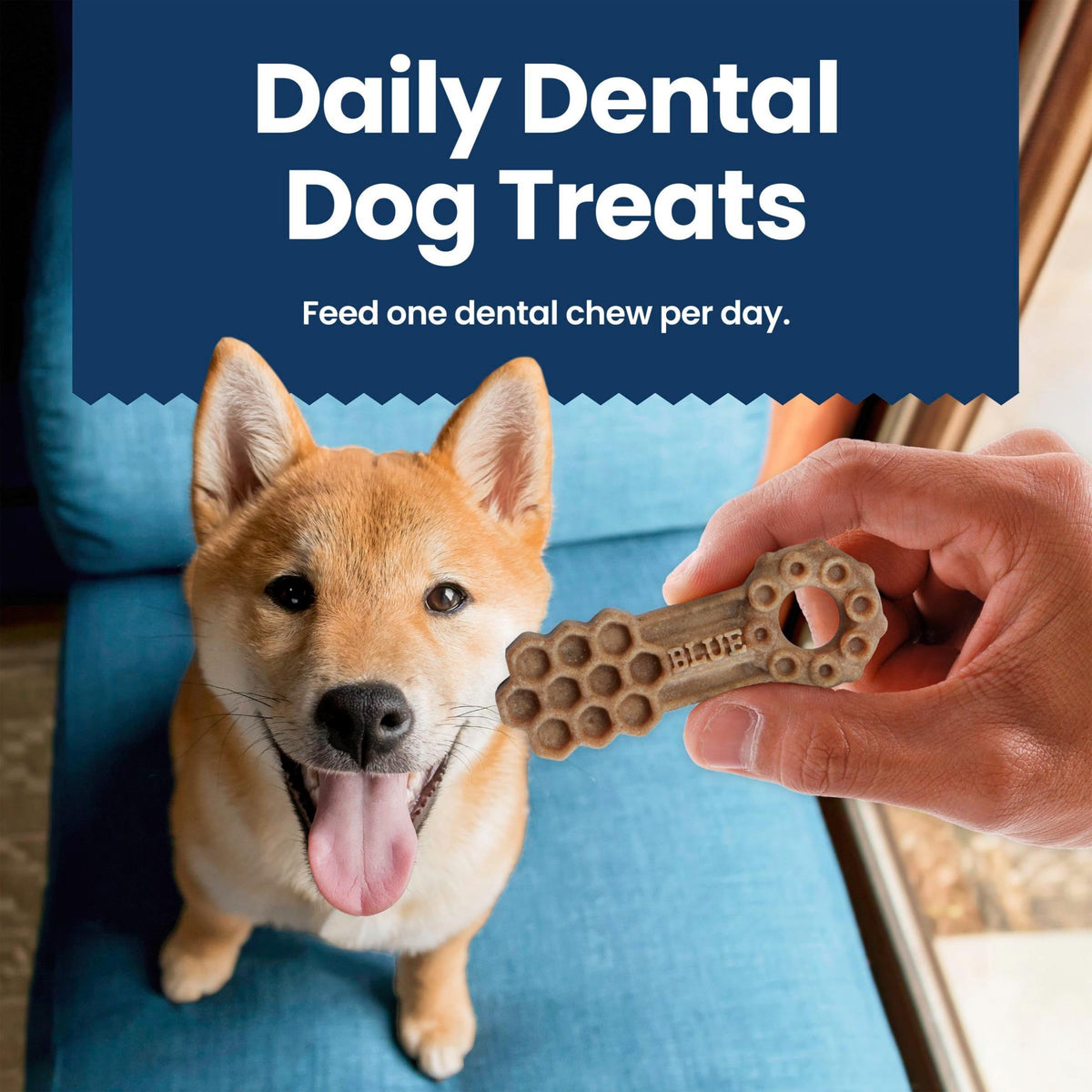 Chicken & Spearmint Medium Dental Chews, 11.5 oz, 14 ct K3157