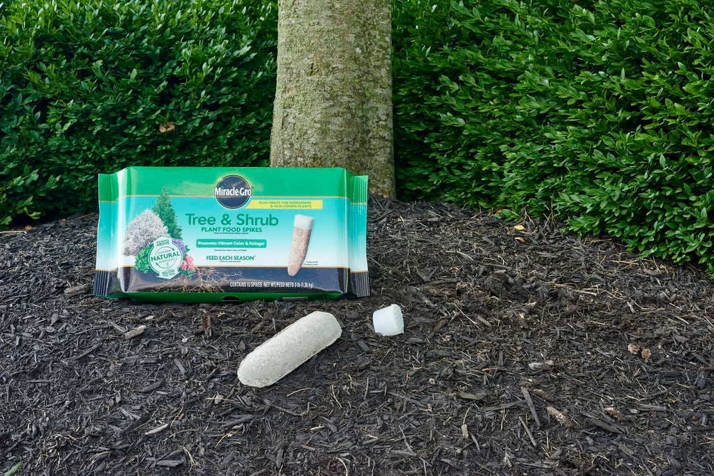 Tree & Shrub Plant Food Spikes 12 Spikes 2-Pack K570547