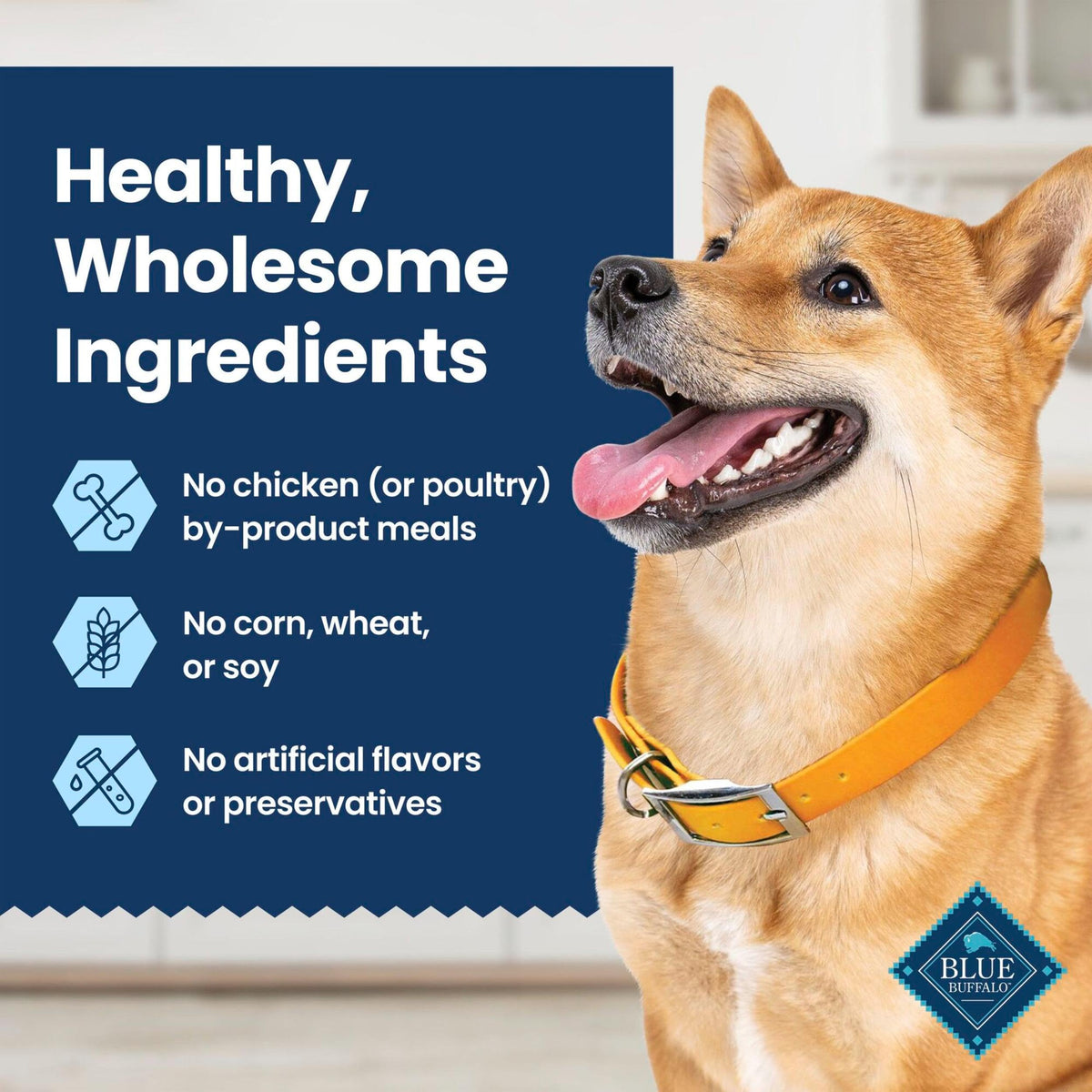 Chicken & Spearmint Medium Dental Chews, 11.5 oz, 14 ct K3157