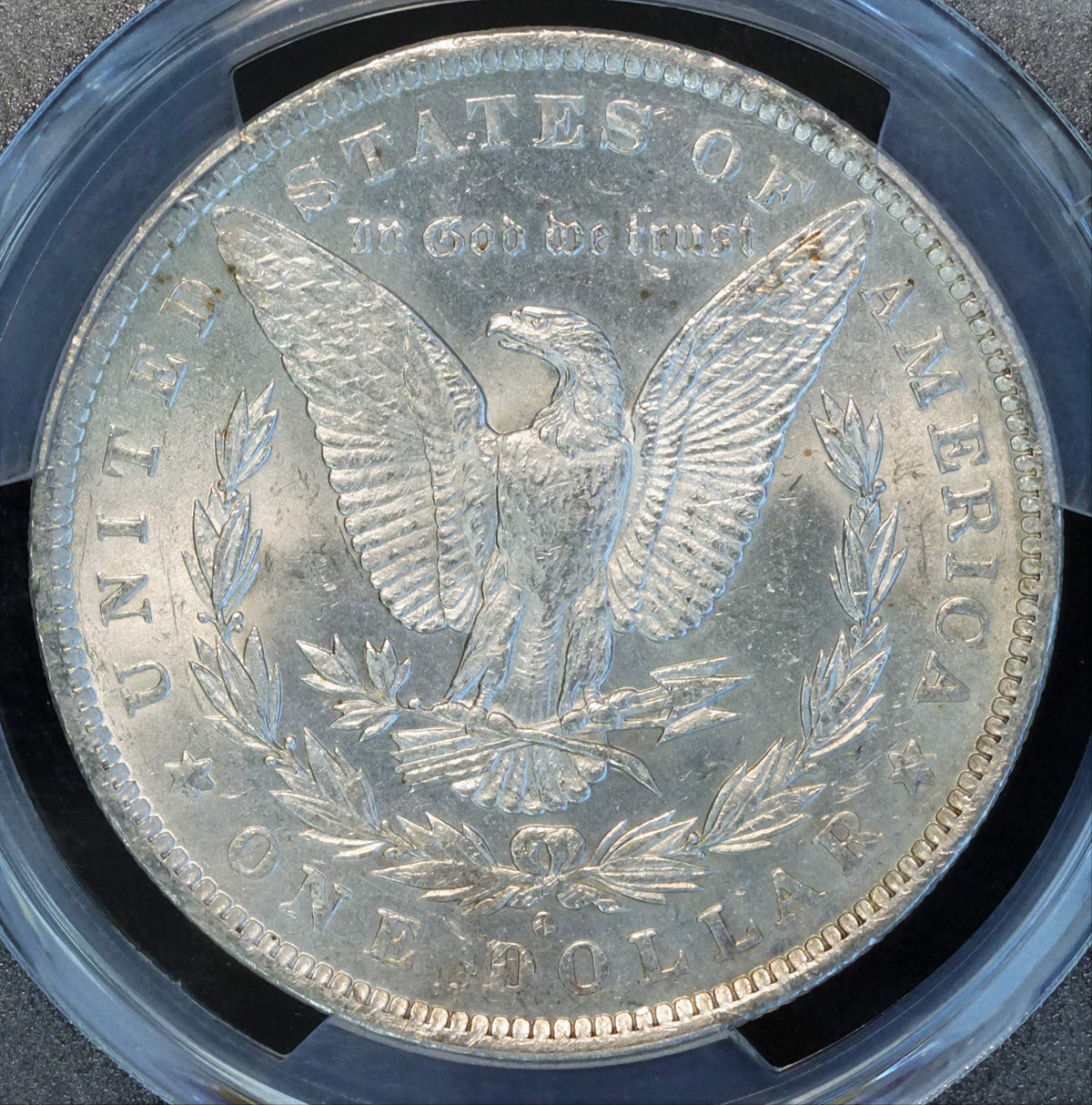 Morgan Silver Dollar P491790