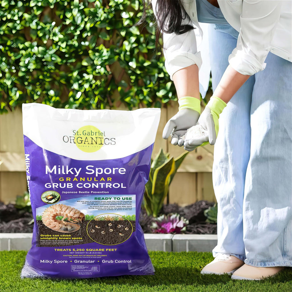 Milky Spore Granular Grub Control W276