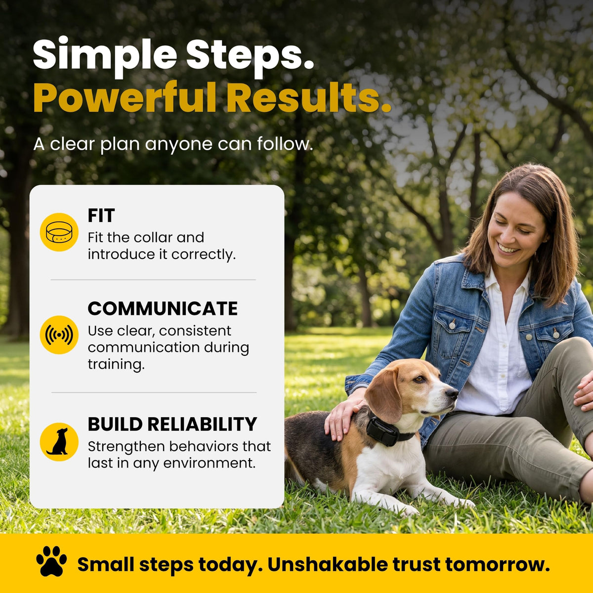 Waterproof Dog Training E Collar with Remote C64877