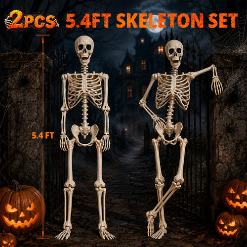 2 Pack 5.4ft Life Size Skeleton with Movable Joints M1610